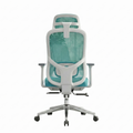 Cadeira Ergonômica Profissional Astrella para Escritório com Encosto Alto em Mesh, Suporte Lombar 2D, Braços 3D, Reclina